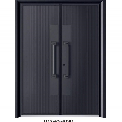 DZX-25-1030
